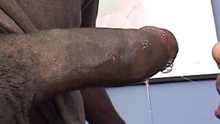 Sexy black broad with small tits deepthroats and takes black cock